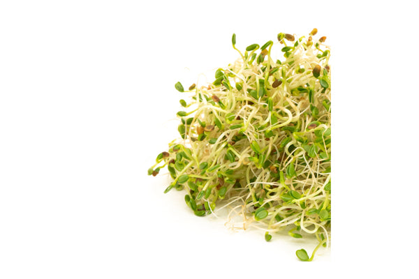 Load image into Gallery viewer, Mumm&#39;s Sprouting Seeds - Red Clover (125g)
