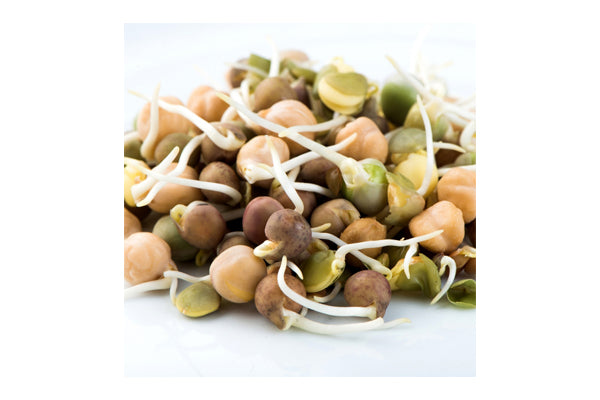 Load image into Gallery viewer, Mumm&#39;s Sprouting Seeds - Crunchy Bean Mix (125g)
