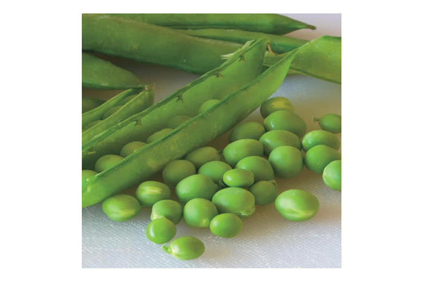 West Coast Seeds - Green Arrow Peas (25g) - Sweet, Tender, High-Yield