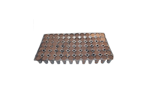 Jiffy - Preforma 72 Cell Tray - Optimal Root Growth and Superior Drainage