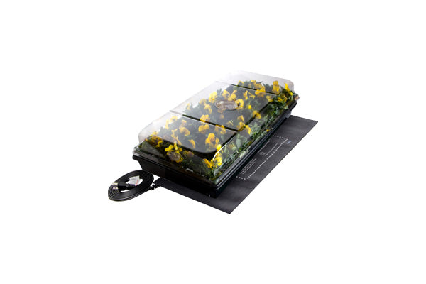 Station de germination Jump Start avec tapis chauffant, plateau, insert 72 cellules, dôme 2