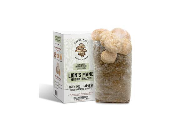 Happy Caps - Cultivez votre propre kit de champignons (Crinière de lion)