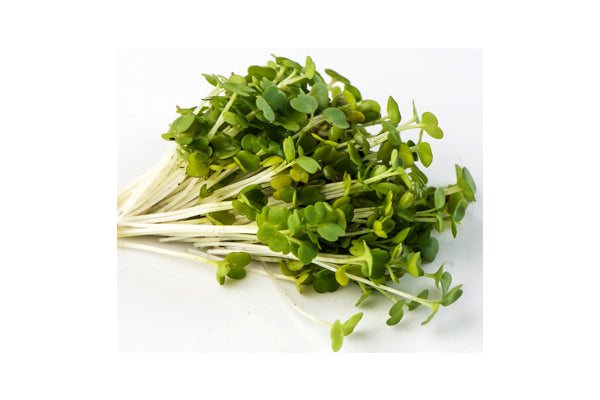 Load image into Gallery viewer, Mumm&#39;s Sprouting Seeds - Arugula (125g)
