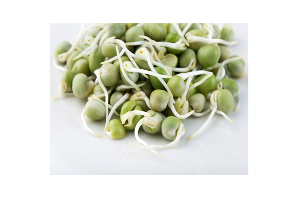 Load image into Gallery viewer, Mumm&#39;s Sprouting Seeds - Peas Green (125g)
