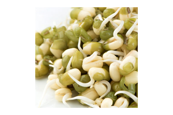 Load image into Gallery viewer, Mumm&#39;s Sprouting Seeds - Mung Beans (125g)
