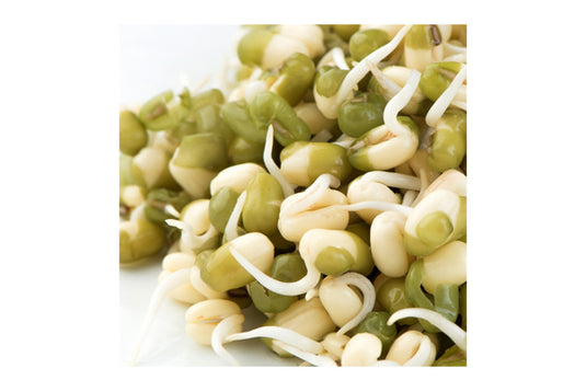 Mumm's Sprouting Seeds - Mung Beans (125g)