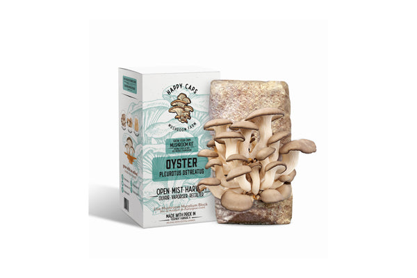 Happy Caps - Cultivez votre propre kit de champignons (huître)