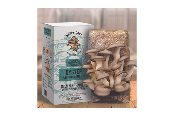 Happy Caps - Cultivez votre propre kit de champignons (huître)