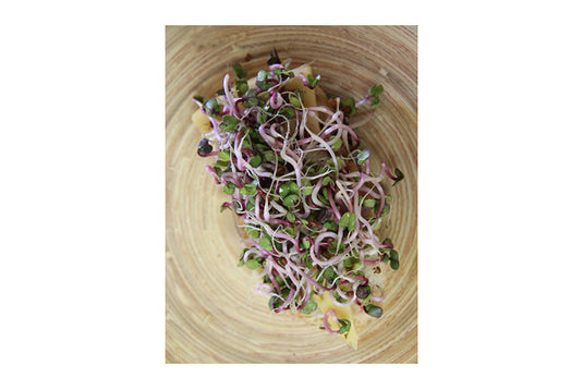 Mumm's Sprouting Seeds - Radish Triton (125g)