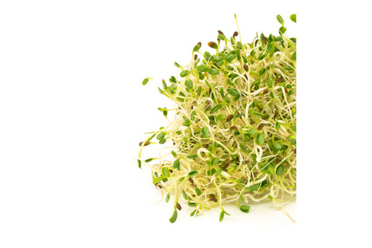 Mumm's Sprouting Seeds - Sandwich Booster (125g)