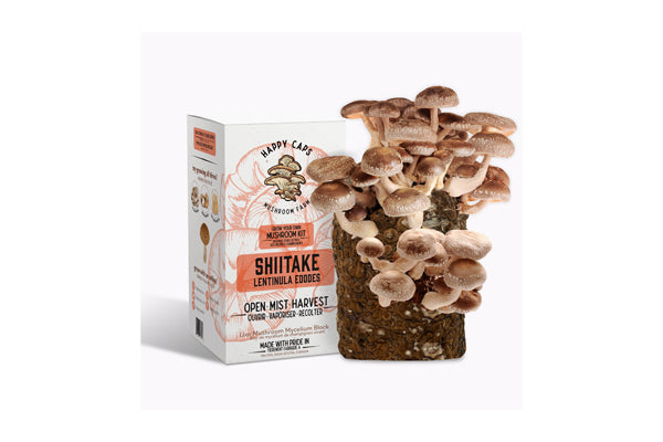 Happy Caps - Cultivez votre propre kit de champignons (Shitake)