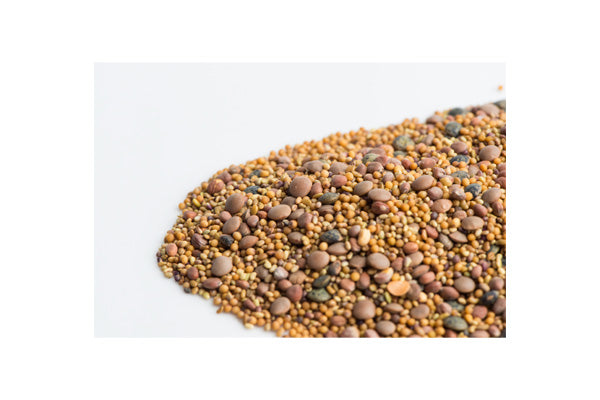 Load image into Gallery viewer, Mumm&#39;s Sprouting Seeds - Spicy Lentil Crunch (125g)
