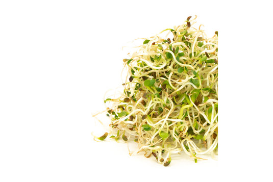 Mumm's Sprouting Seeds - Spring Salad Mix (100g)