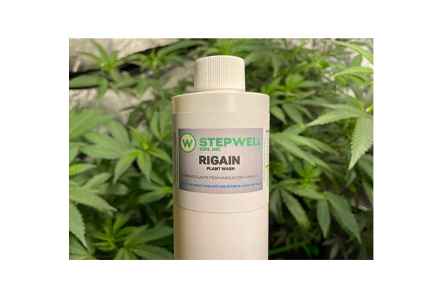 Load image into Gallery viewer, Stepwell - Rigain Plant Wash - Natural Pest and Contaminant Control (2oz)
