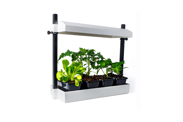 Load image into Gallery viewer, SunBlaster - Micro T5 Grow Light Garden - Full Spectrum Indoor Growing Kit
