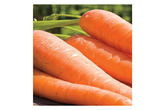 West Coast Seeds - Ya Ya Organic Carrots - Sweet All-Season Harvest (0.50g)