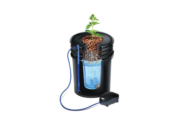 Load image into Gallery viewer, Alfred - DWC 4-Plant System - Advanced Deep Water Culture Hydroponic Kit
