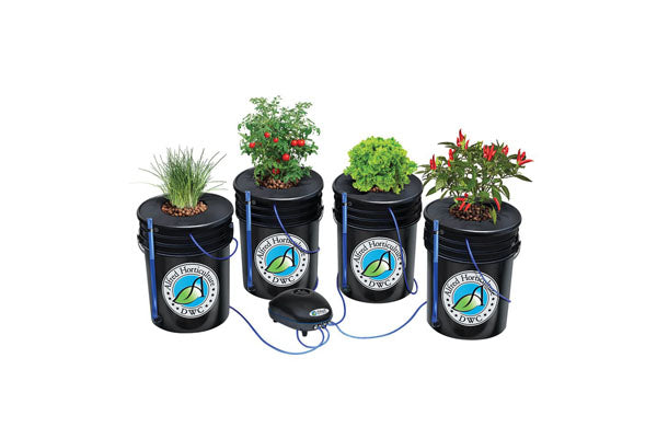 Load image into Gallery viewer, Alfred - DWC 4-Plant System - Advanced Deep Water Culture Hydroponic Kit
