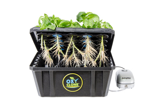 oxyCLONE PRO Series 20 Site - High-Efficiency Cloning System